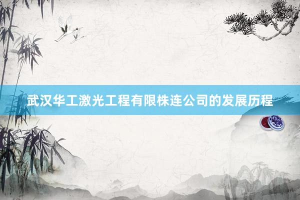 武汉华工激光工程有限株连公司的发展历程