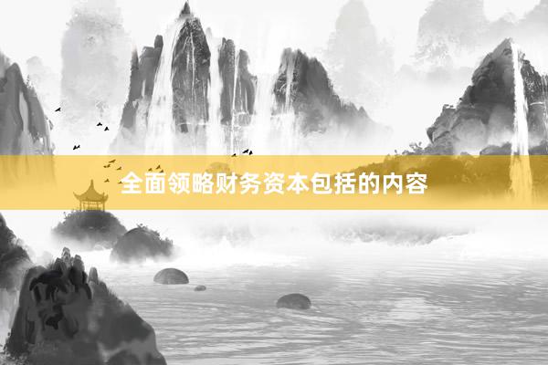 全面领略财务资本包括的内容